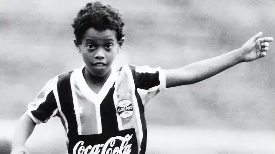 在这篇文章 在这篇文章