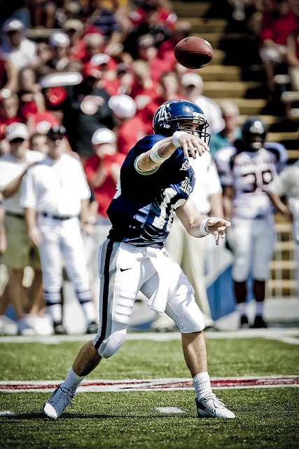 的关键性进 的关键性进