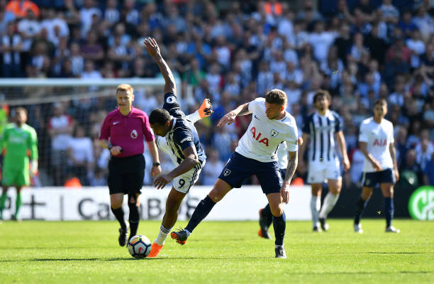 手的特点灵 手的特点灵